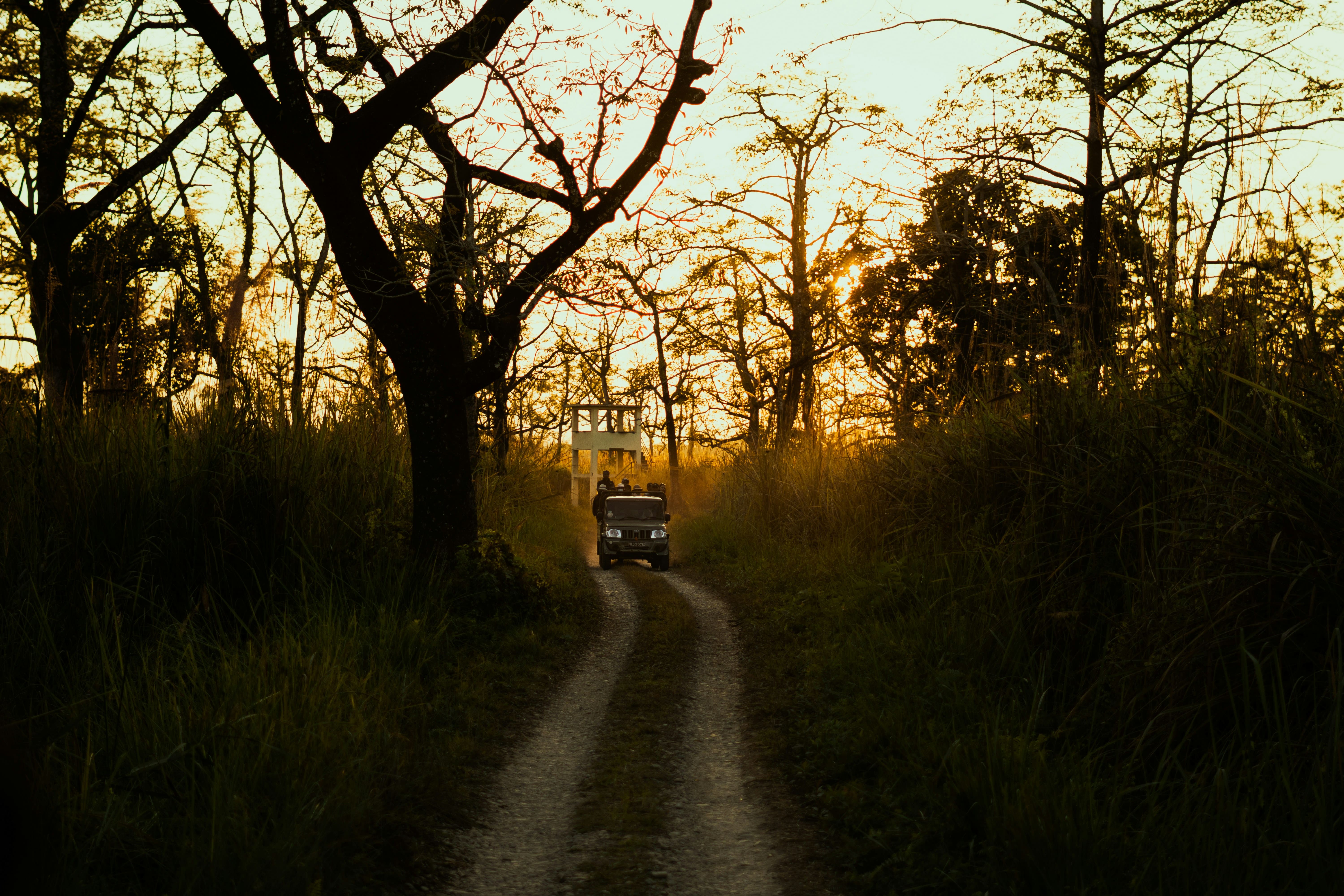 People traveling in a jeep during the golden hour.